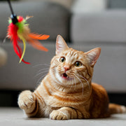 Unravelling the Magic of Teaser Toys: A Comprehensive Guide