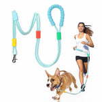 Best rope leash for large dogs in India