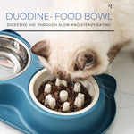 Dog Food and Water Bowl