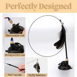 suction base cat toy