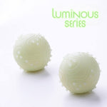 Light Up Dog Ball