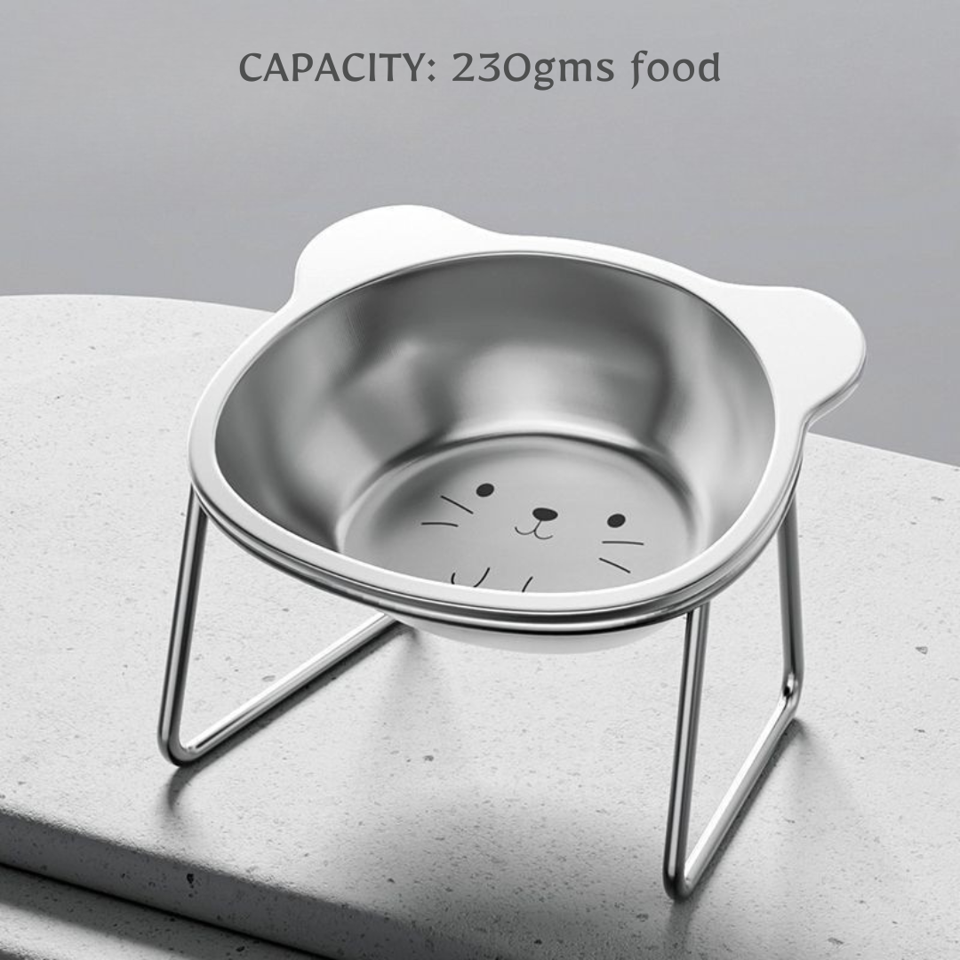 feeding bowl for cats