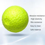 Durable Ball Toy for Dogs