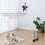 hands-free cat teaser toy