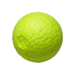 Chew resistant dog ball