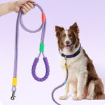 Buy dog leash with rope India