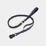 Buy dog leash online India