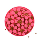 flower-shaped slow feeding mat for cats