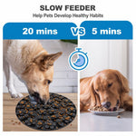 Sensory Mat for Dogs