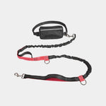 Pet Dog Leashes for All Breeds