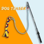 retractable flirt pole for dogs