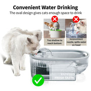 PAPIFEED WATER FOUNTAIN