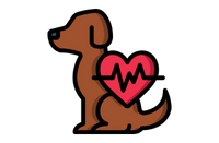 icon_policy