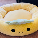 pineapple pet bed