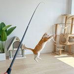Cat wand toy