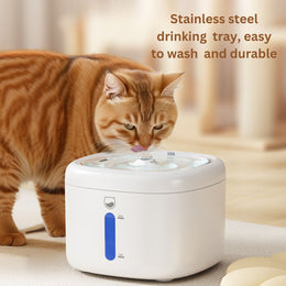 SPOUTY CAT WATER FOUNTAIN