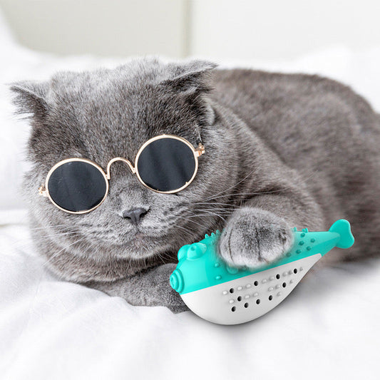 Top Cats Pet Toys Store India