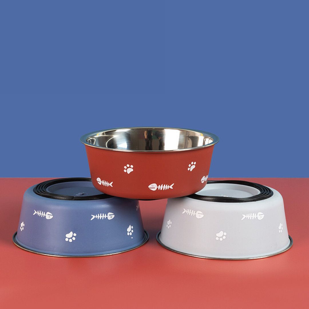 cat food bowl