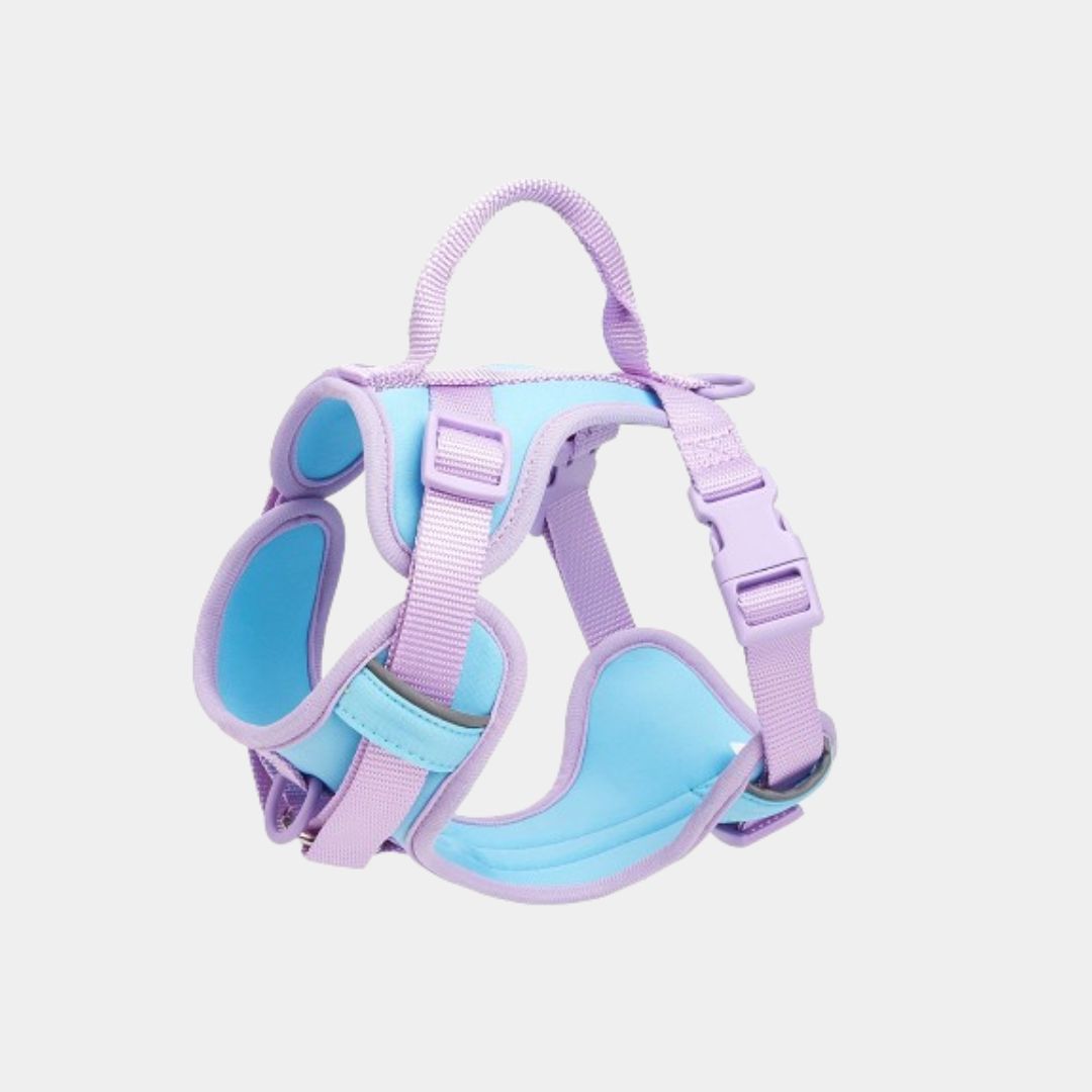 COMFORTFIT HARNESS SET