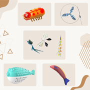 Interactive cat play set