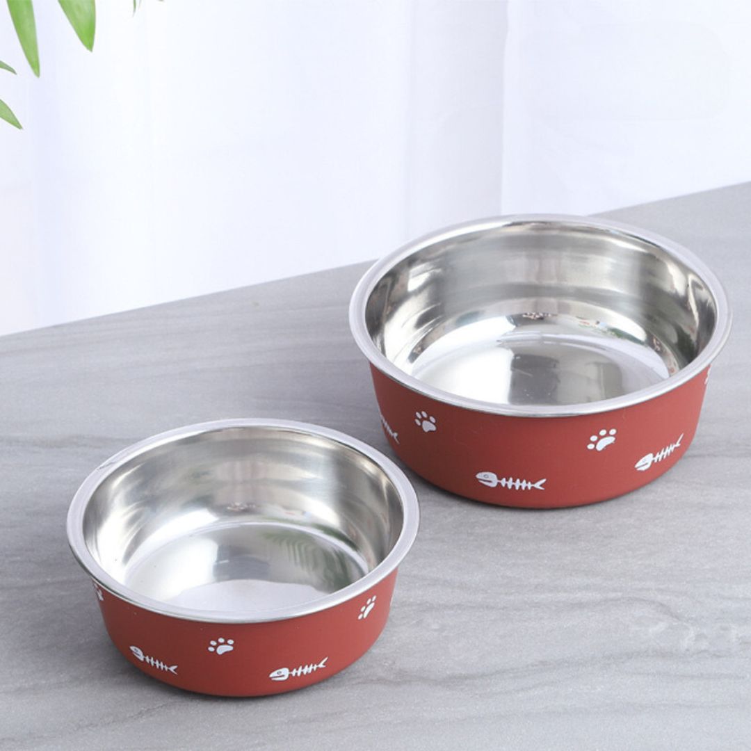  bowl for cats online India