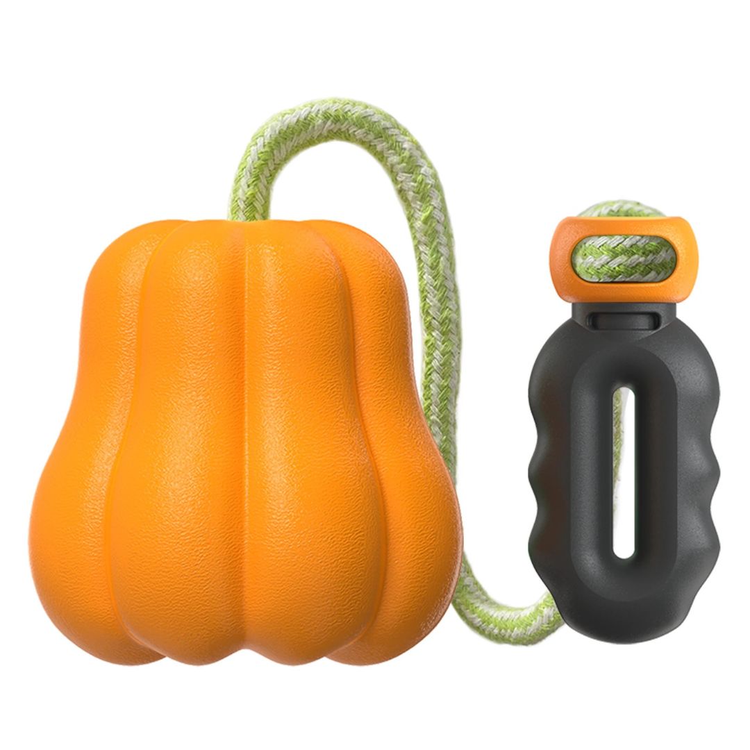 PUMPKIE FETCH TOY
