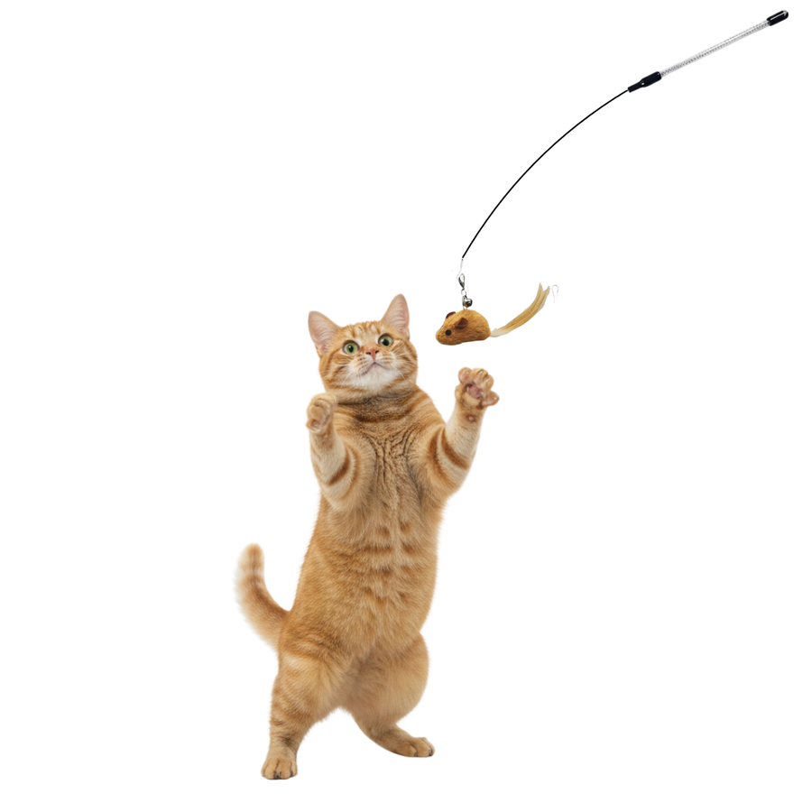 Wildlife Cat Toy