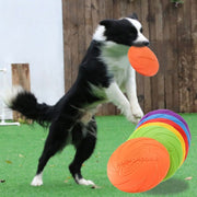 DOG-A-SOAR FRISBEE