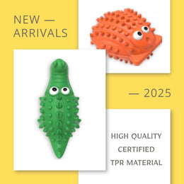 Squeaky Shell Toy for Dogs