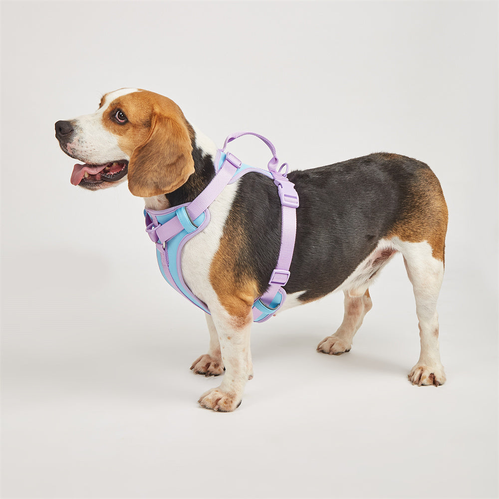 COMFORTFIT HARNESS SET