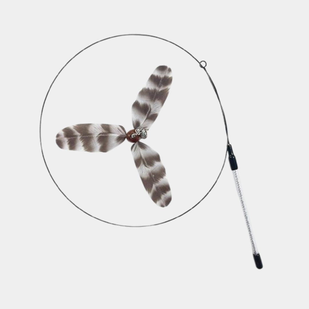 spinning cat toy online