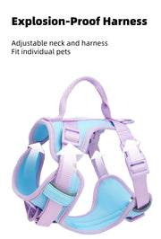 COMFORTFIT HARNESS SET