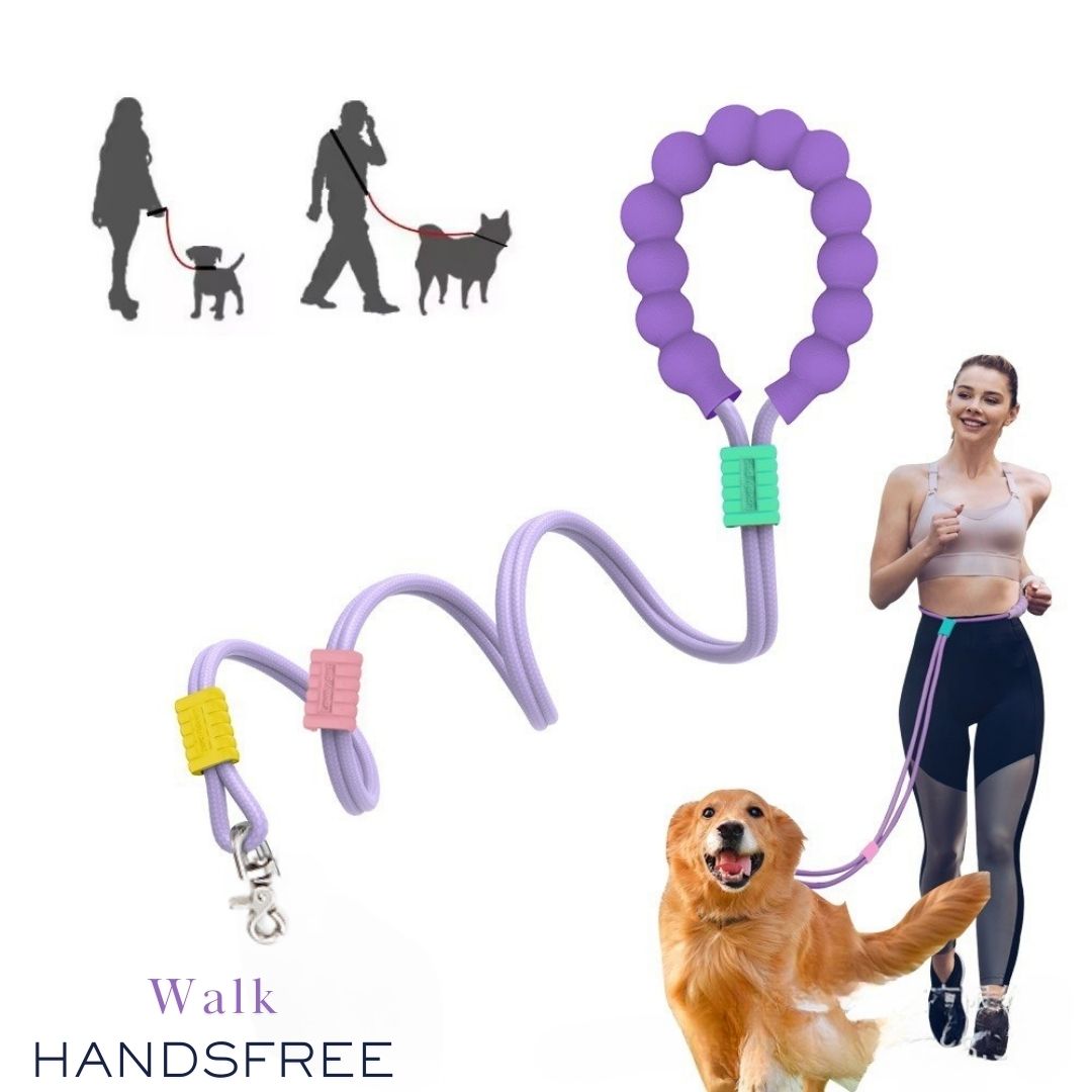 Dog Rope Leash