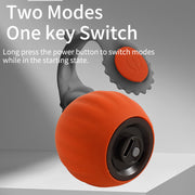 AUTO ROLLING BALL FOR CATS