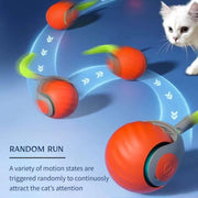 AUTO ROLLING BALL FOR CATS
