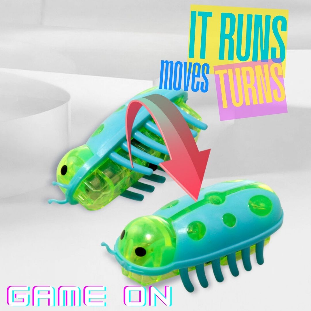 BUG BUDDY INTERACTIVE TOY FOR CATS