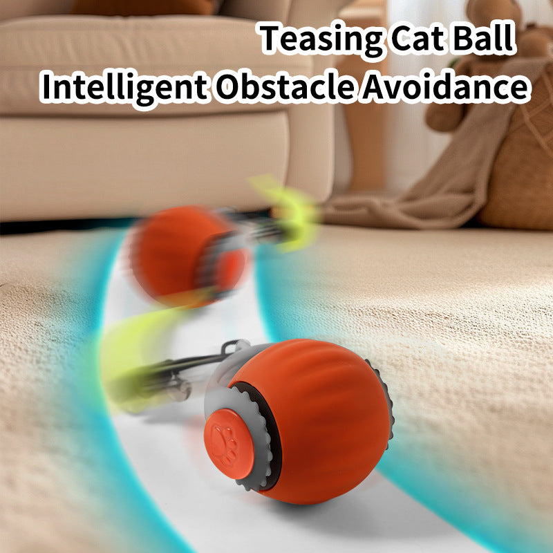 AUTO ROLLING BALL FOR CATS