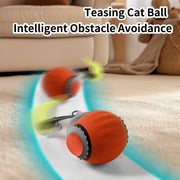 AUTO ROLLING BALL FOR CATS