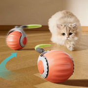 AUTO ROLLING BALL FOR CATS