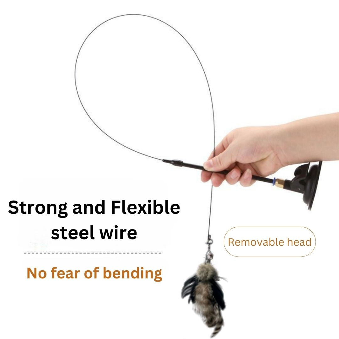 teaser wand for indoor cats
