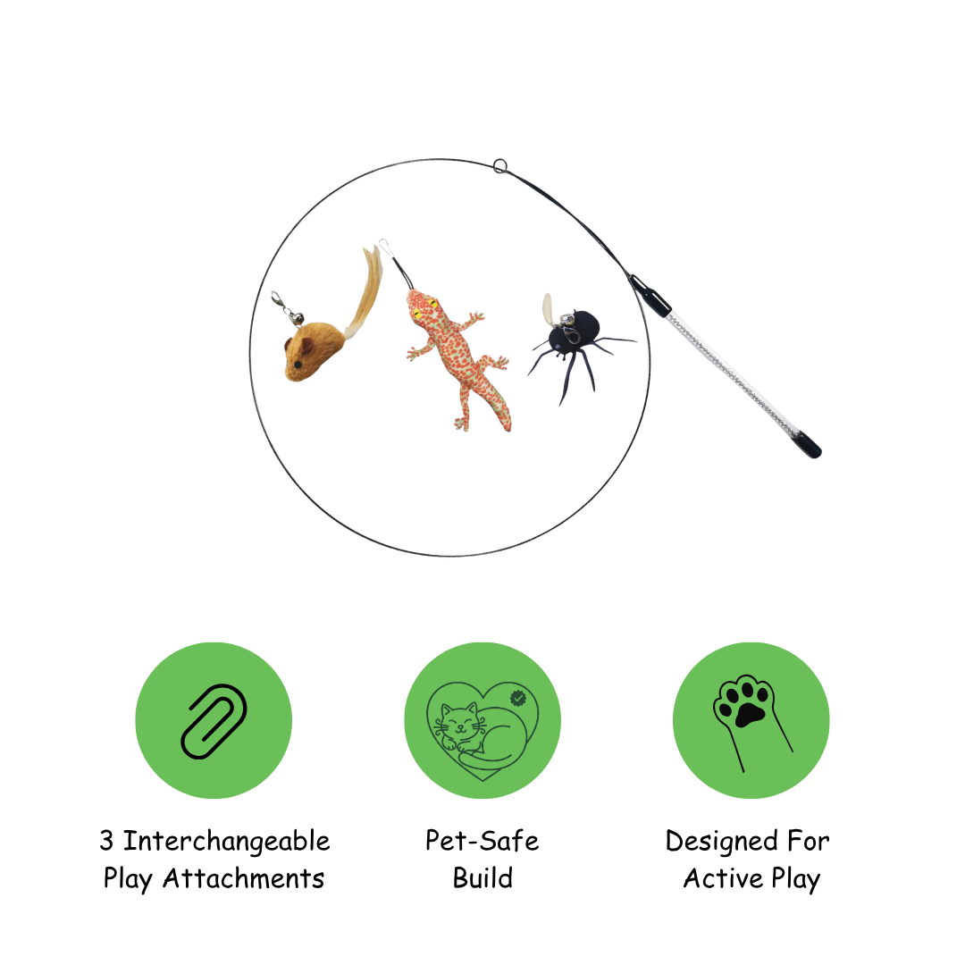 Wildlife Cat Toy