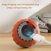 AUTO ROLLING BALL FOR CATS