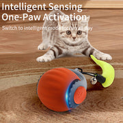 AUTO ROLLING BALL FOR CATS