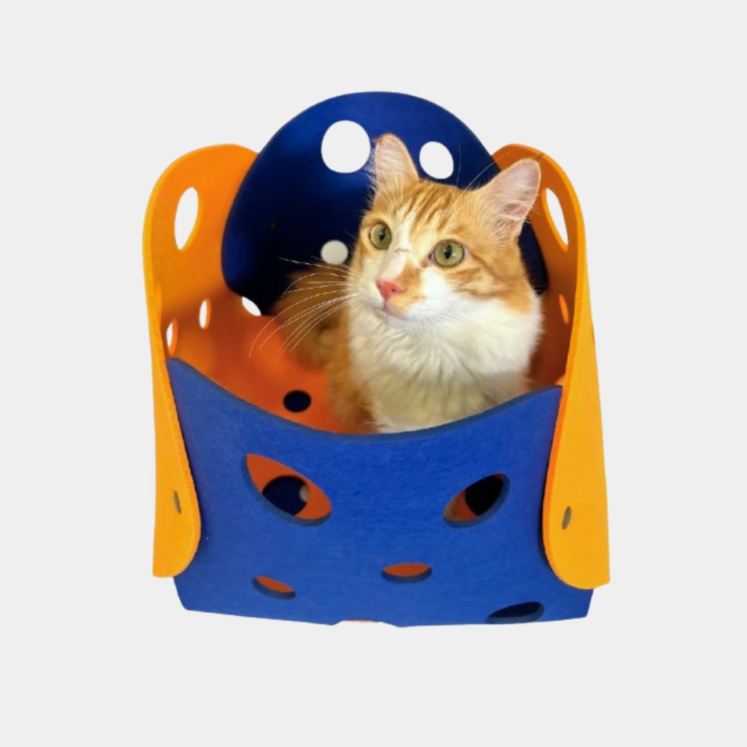 Cheese tunnel for cats