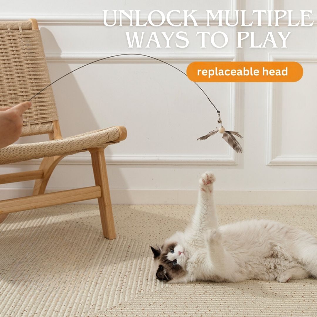 motion-activated wand cat toy