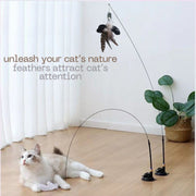 hands-free cat teaser toy