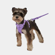 CLOUDFIT HARNESS SET