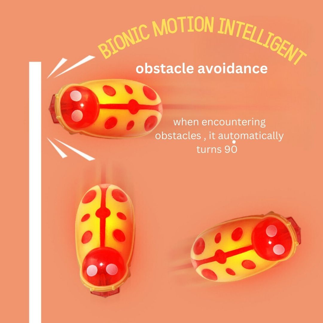 BUG BUDDY INTERACTIVE TOY FOR CATS
