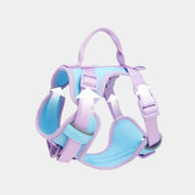 COMFORTFIT HARNESS SET