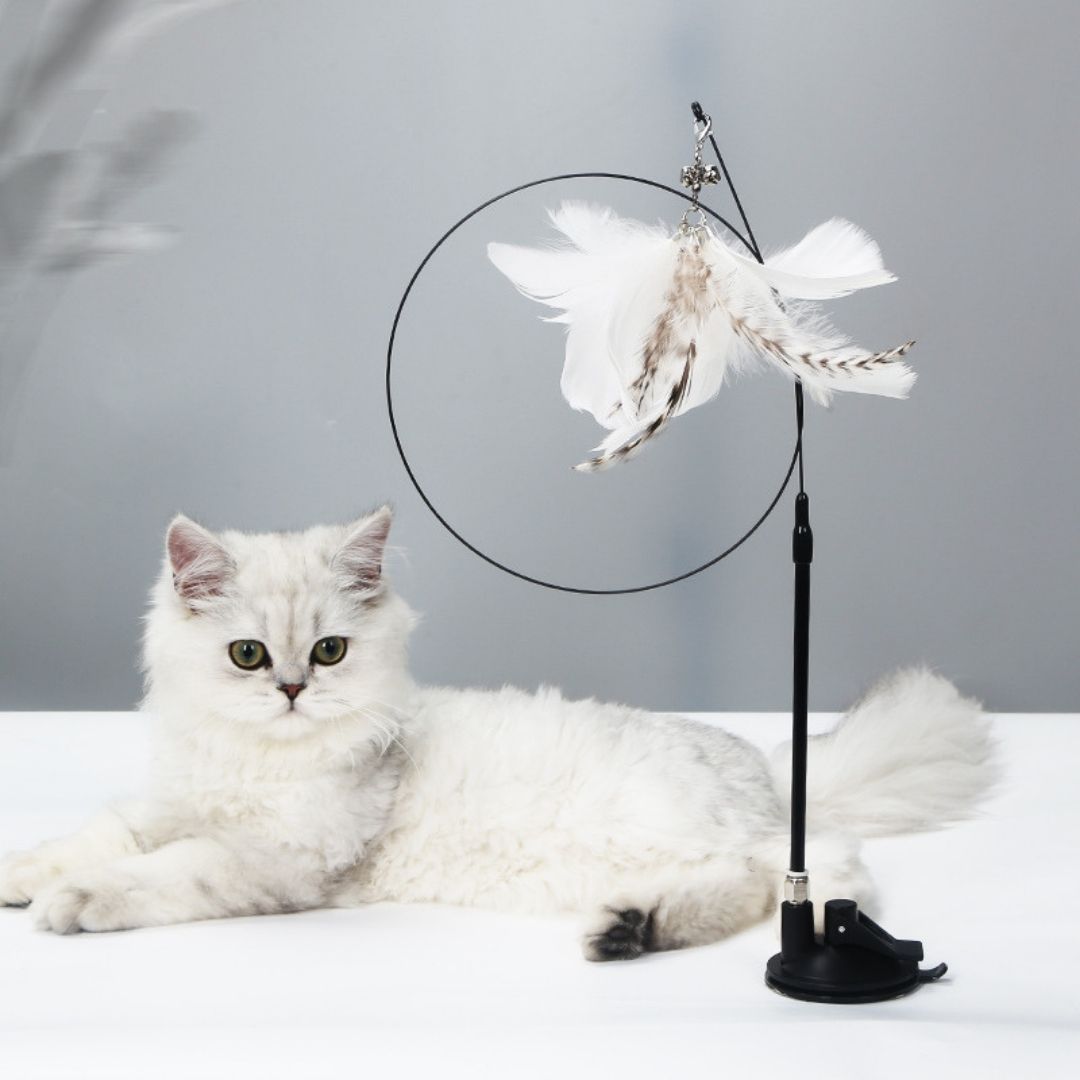 buy cat wand toy with suction base
